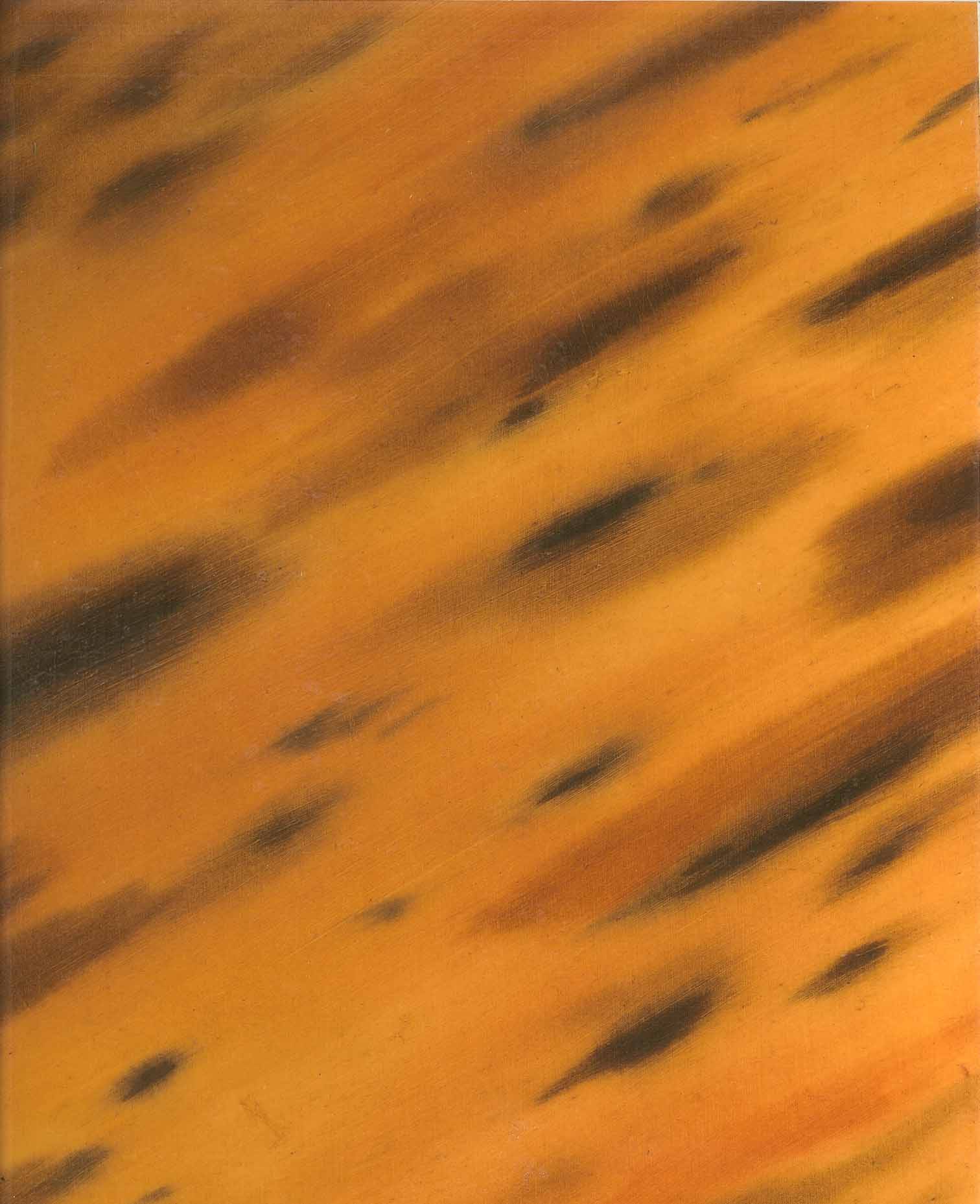 Tortoise Shell